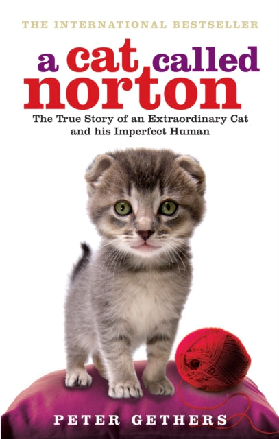 Cat Called Norton