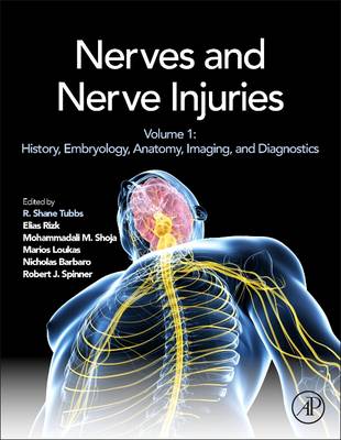 Nerves and Nerve Injuries: History, Embryology, Anatomy, Imaging, and Diagnostics