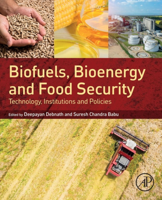 Biofuels, Bioenergy and Food Security