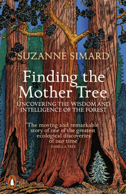 Finding the Mother Tree - Uncovering the Wisdom and Intelligence of the Forest