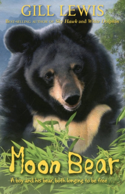 Moon Bear