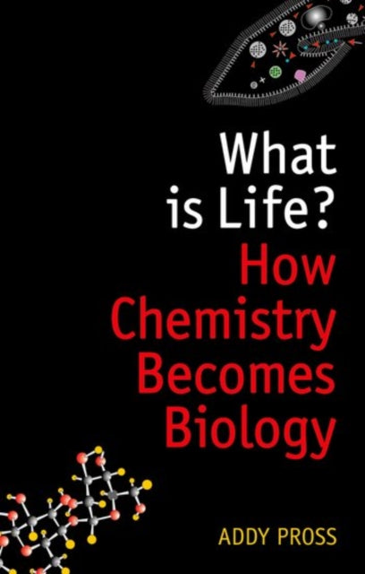 What is Life?: How Chemistry Becomes Biology