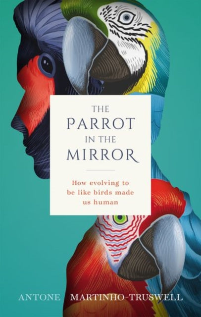The Parrot in the Mirror - How evolving to be like birds made us human