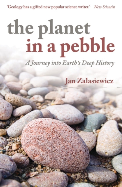 The Planet in a Pebble: A journey into Earth's deep history