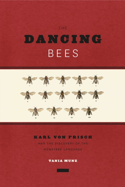 Dancing Bees