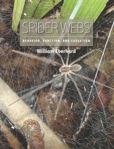 Spider Webs - Behavior, Function, and Evolution