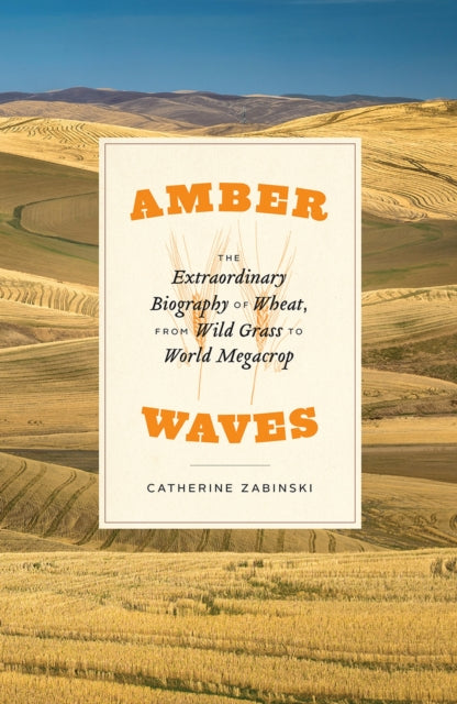 Amber Waves - The Extraordinary Biography of Wheat, from Wild Grass to World Megacrop