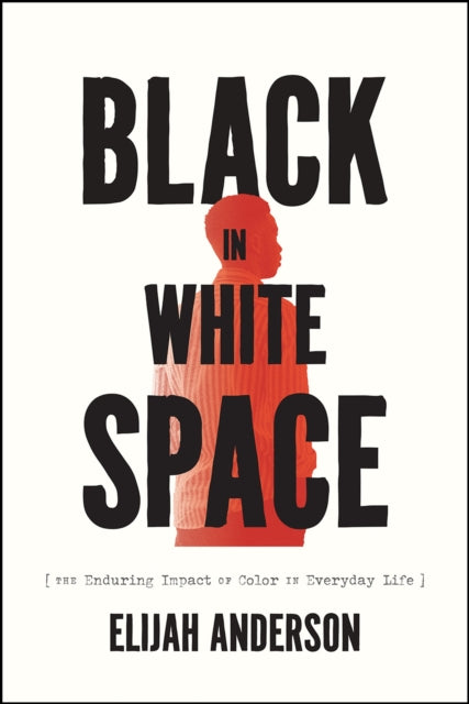 Black in White Space - The Enduring Impact of Color in Everyday Life