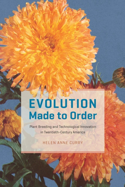 Evolution Made to Order - Plant Breeding and Technological Innovation in Twentieth-Century America