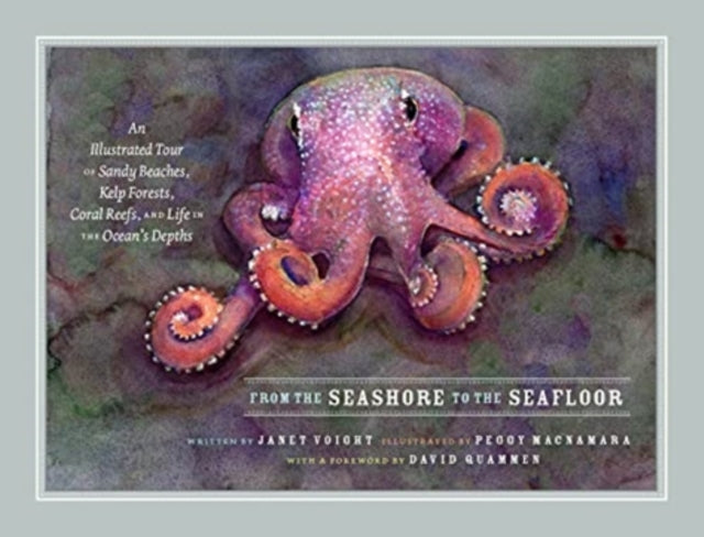 From the Seashore to the Seafloor - An Illustrated Tour of Sandy Beaches, Kelp Forests, Coral Reefs, and Life in the Ocean's Depths