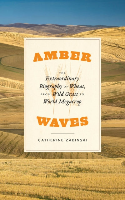 Amber Waves - The Extraordinary Biography of Wheat, from Wild Grass to World Megacrop