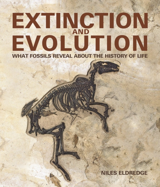 Extinction and Evolution - What Fossils Reveal about the History of Life