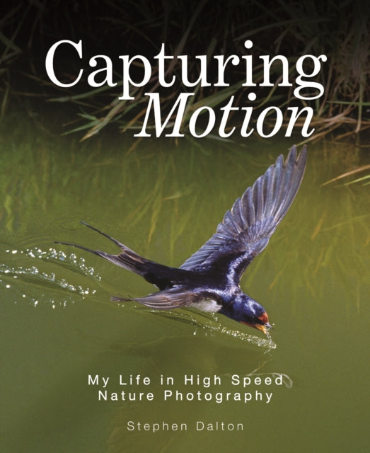 Capturing Motion: My Life in High Speed Nature Photography