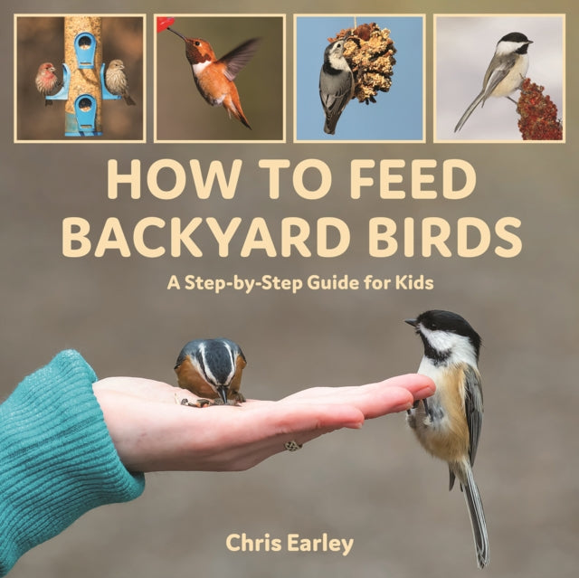 How to Feed Backyard Birds