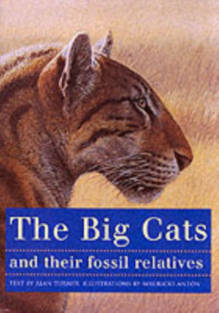 Big Cats and Their Fossil Relatives