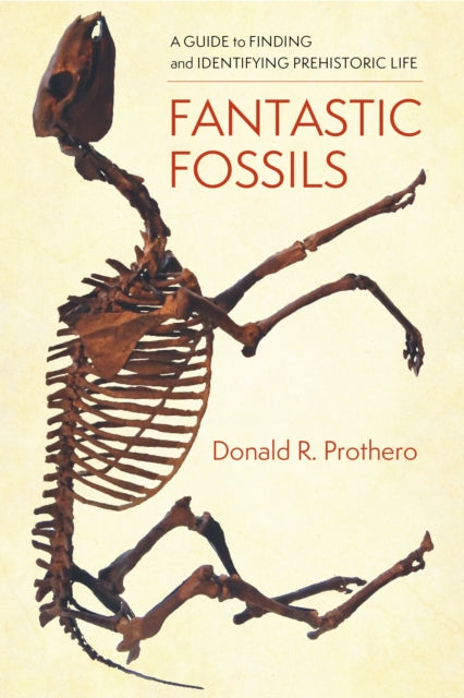 Fantastic Fossils - A Guide to Finding and Identifying Prehistoric Life
