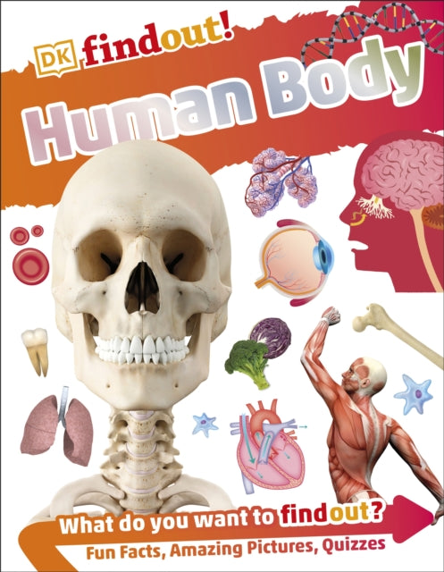 DKfindout! Human Body