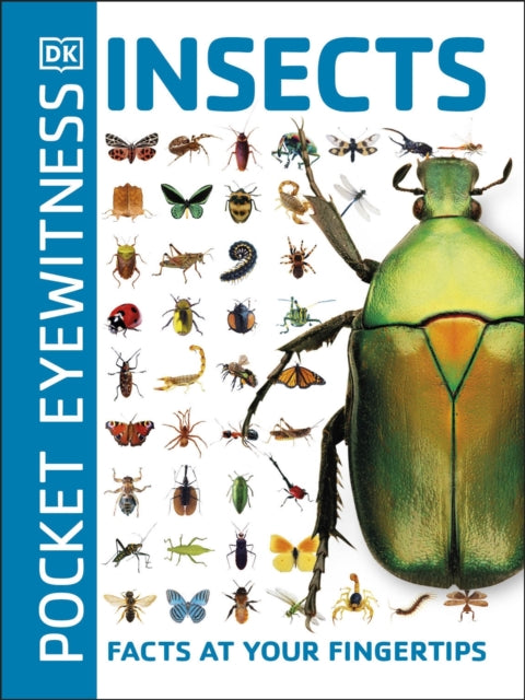 Pocket Eyewitness Insects - Facts at Your Fingertips
