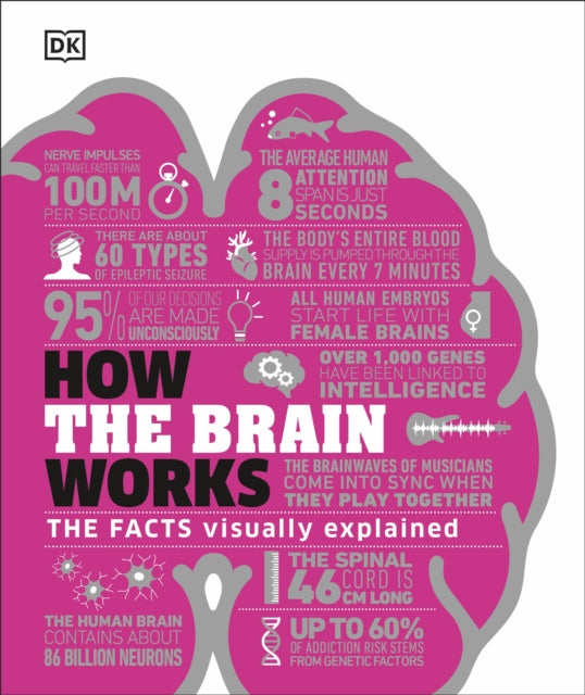 HOW THE BRAIN WORKS