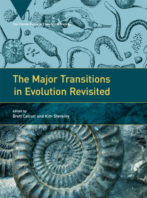 The Major Transitions in Evolution Revisited