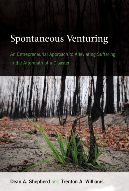 Spontaneous Venturing - An Entrepreneurial Approach to Alleviating Suffering in the Aftermath of a Disaster