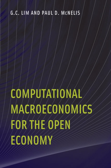 Computational Macroeconomics for the Open Economy