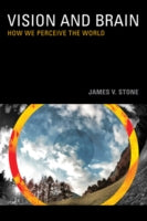 Vision and Brain: How We Perceive the World