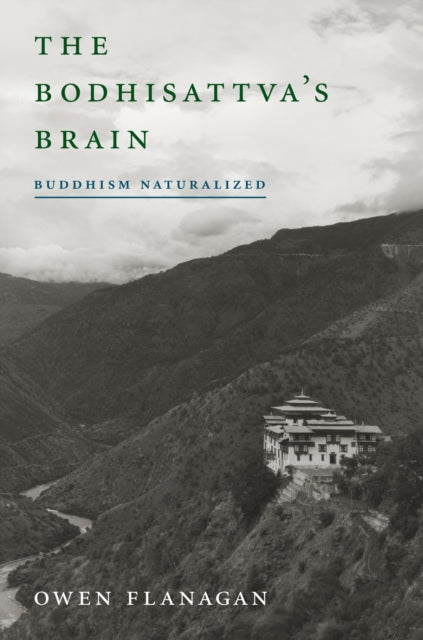 Bodhisattva's Brain