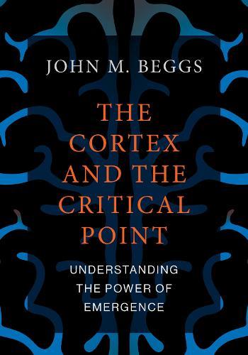 Cortex and the Critical Point