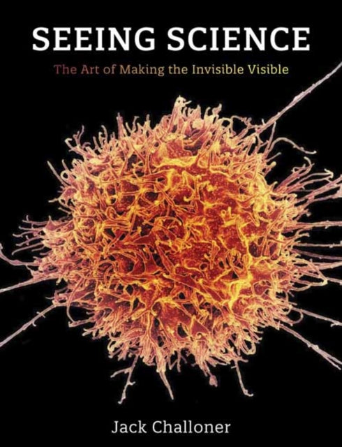 Seeing Science - The Art of Making the Invisible Visible