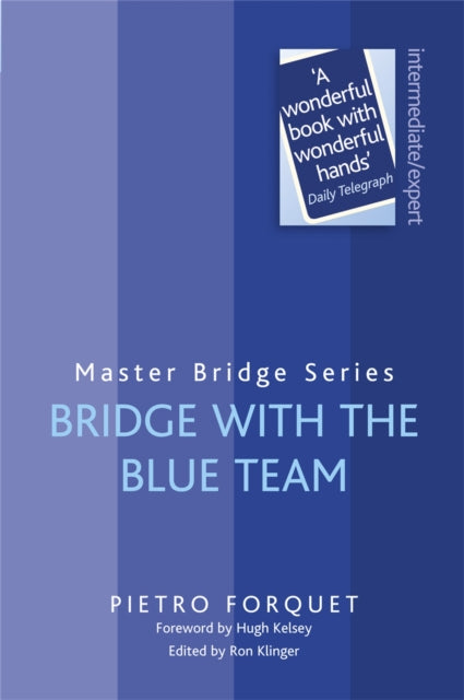 Bridge With The Blue Team