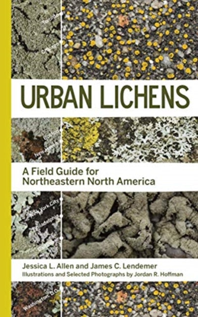 Urban Lichens