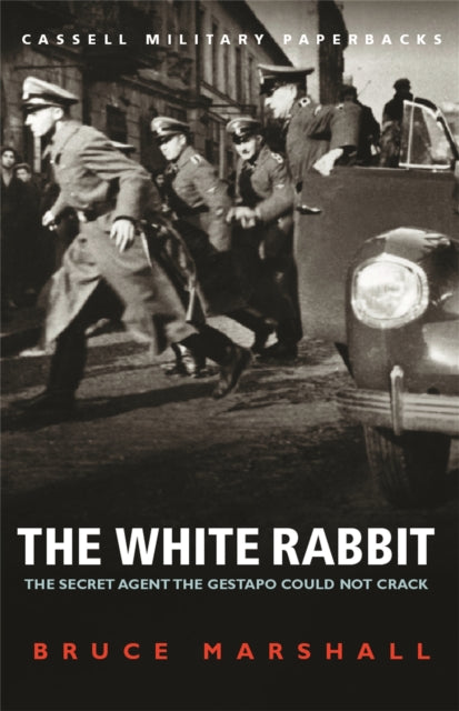 White Rabbit