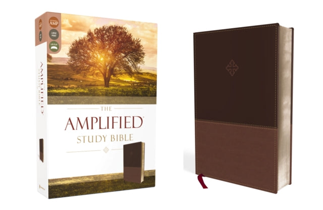 Amplified Study Bible, Leathersoft, Brown