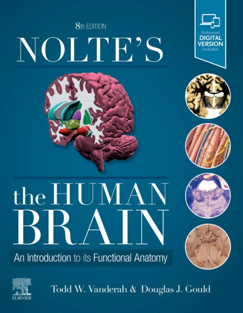 NOLTER`S THE HUMAN BRAIN 8E