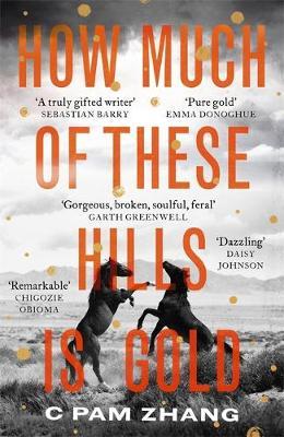 How Much of These Hills is Gold - 'The boldest debut of the year' Observer