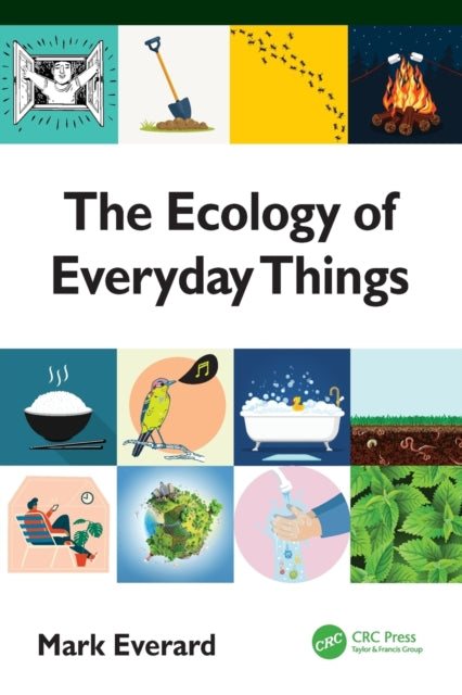 The Ecology of Everyday Things