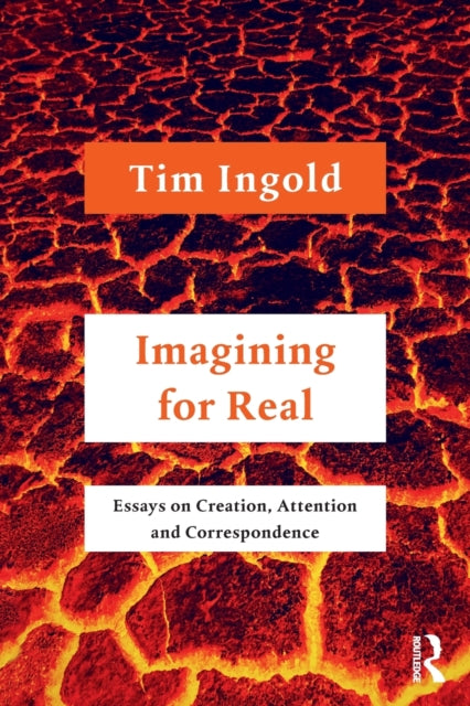 Imagining for Real - Essays on Creation, Attention and Correspondence