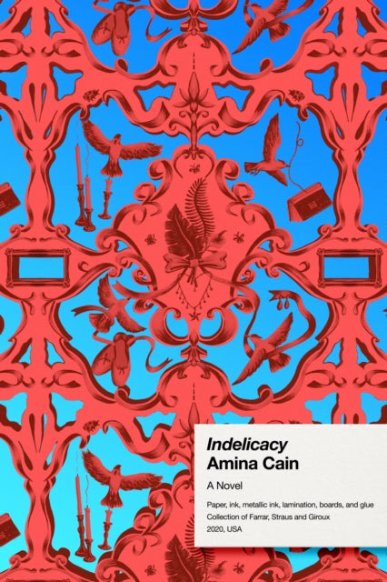 Indelicacy - A Novel