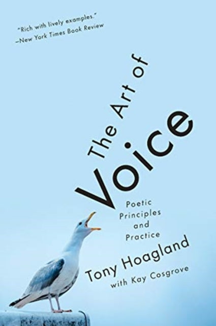 Art of Voice