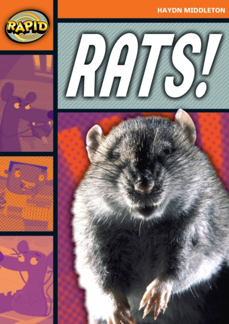 Rapid Reading: Rats! (Stage 4, Level 4B)