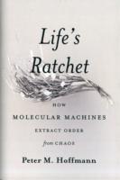 Life's Ratchet: How Molecular Machines Extract Order from Chaos