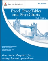 Excel Pivottables and Pivotcharts: Your Visual Blueprint for Creating Dynamic Spreadsheets, 2nd Edition