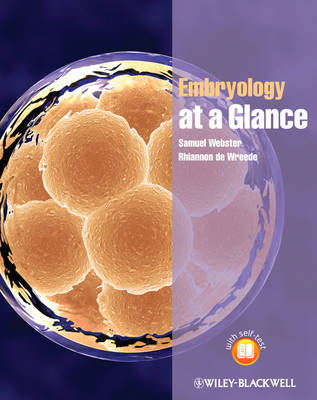 EMBRYOLOGY AT A GLANCE
