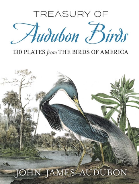 Treasury of Audubon Birds - 130 Plates from The Birds of America