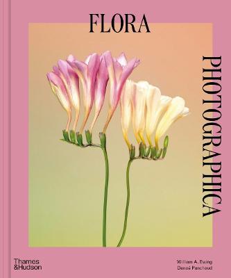 Flora Photographica - The Flower in Contemporary Photography