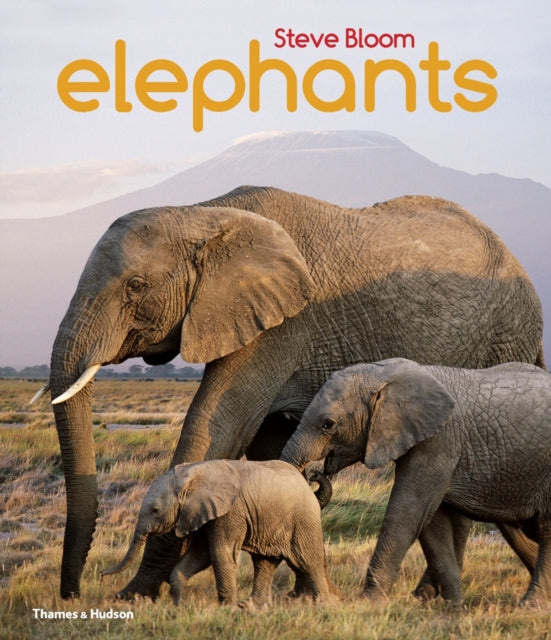 Elephants: A Book for Children