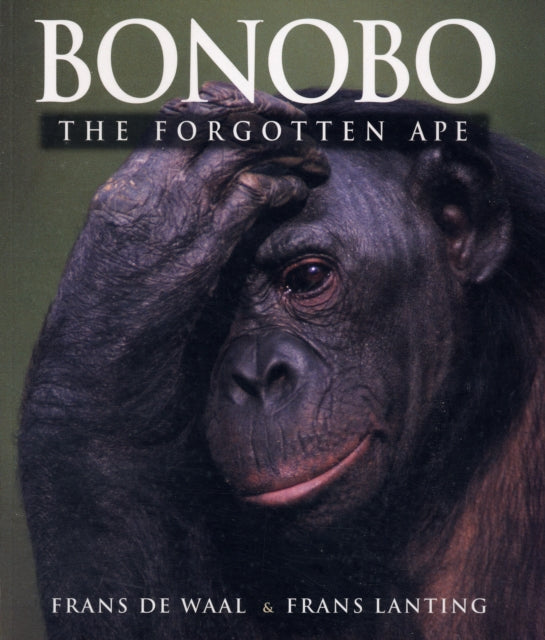 Bonobo