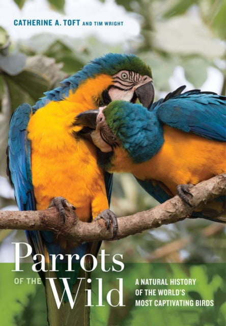 Parrots of the Wild: A Natural History of the WorldĂŻÂżÂ˝ s Most Captivating Birds