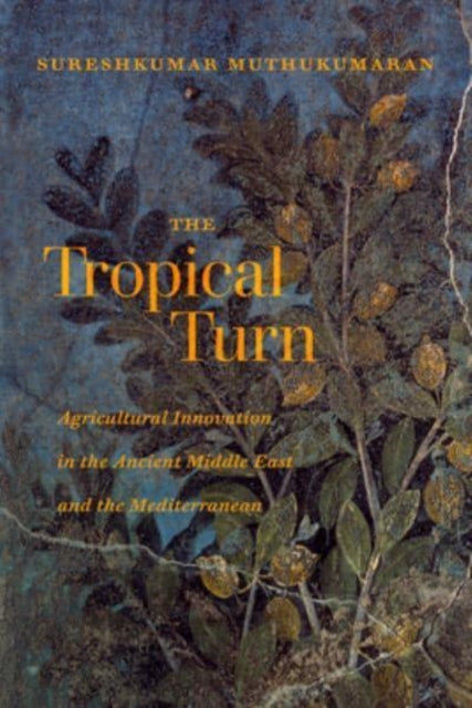 Tropical Turn